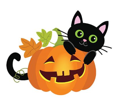 cat pumpkin graphic